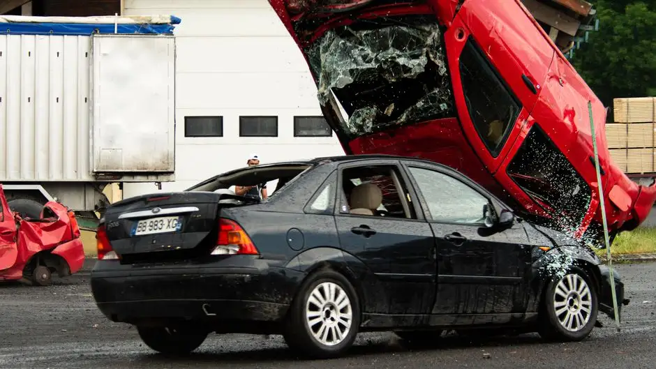 Żubr na drodze w Lubuskiem. Kierowca osobówki miał szczęście