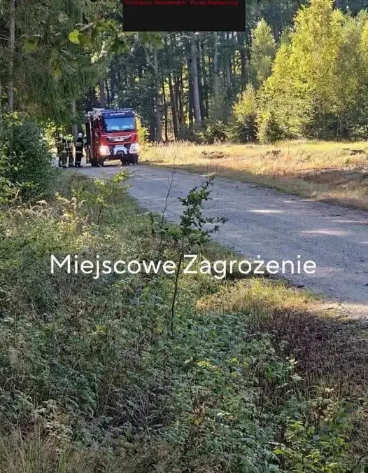 OSP Ogardy interweniowało przy pochylonym drzewie w Gilowie