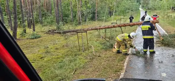 Drzewo na ścieżce rowerowej w Bagniewie – interwencja OSP Gościm