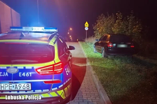 25-latek z dwoma promilami i narkotykami w organizmie zatrzymany w Strzelcach Krajeńskich