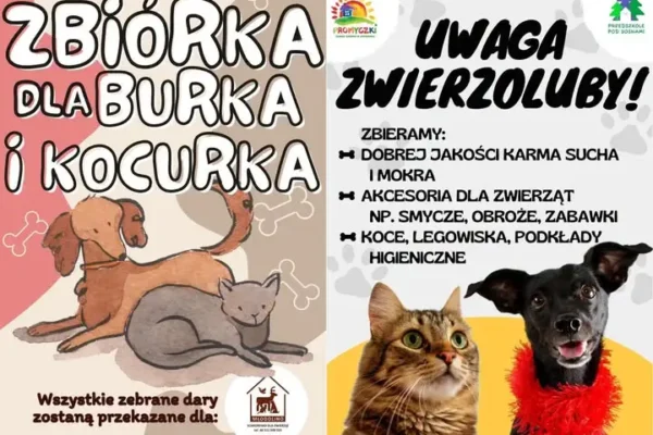Drezdenko: rusza zbiórka darów dla bezdomnych zwierząt ze schroniska w Młodolinie
