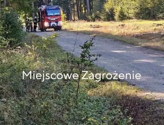 Wypadek drogowy w Zwierzynie – interwencja straży pożarnej